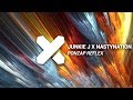 Junkie J X Nastynation Ponzap Reflex mp3
