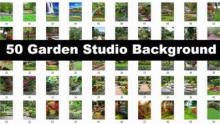 50 Garden Studio Background For Adobe Photoshop screenshot 5