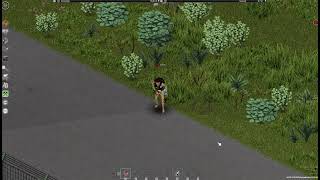 Project Zomboid Hotbar [B42.20+]