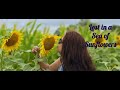 Lost in a Sea of Sunflowers 🌞 A Day Full of Sunshine & Smiles | In odia