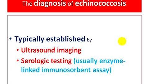 High lights on Diagnosis of echinococcosis