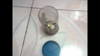 TURTLE COIN BANK   advertising 5