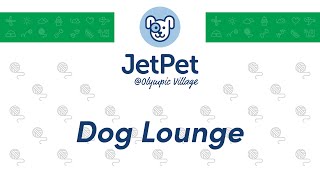 OV: Dog Lounge  March 14th, 2024