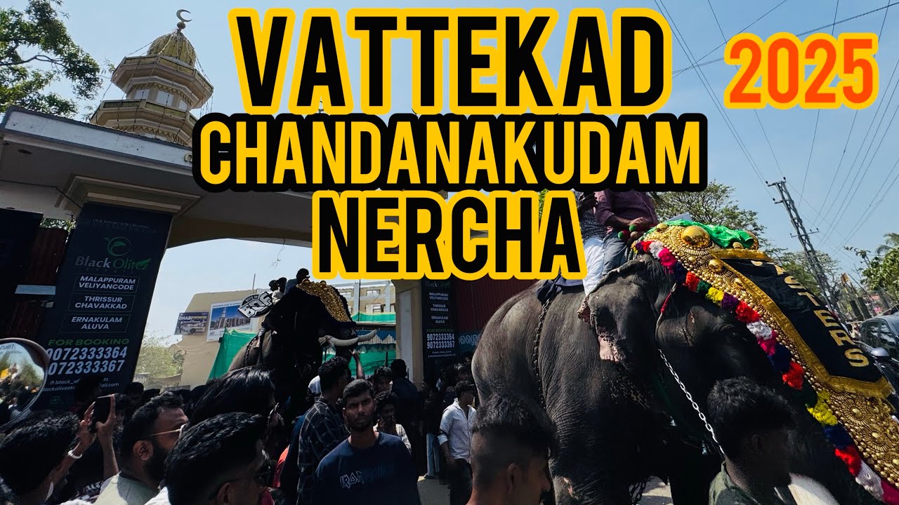 VATTEKAD NERCHA 2025🔥ആവേശകരമായ കോടിയേറ്റക്കാഴ്ച💥 സാധു VS ഭീമൻ💥🔥തലപൊക്കത്തിന്റെ ആവേശം🐘🔥🏆