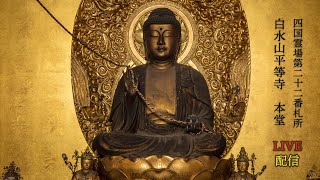平等寺本堂ライブ配信 リモート参拝 四国八十八ヶ所 Temple #22 Byodoji, Shikoku 88 pilgrimage 24/7 live