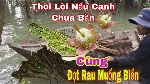 Đặt Cá Thòi Lòi Nấu Canh Chua Bần Cùng  Rau Muống Biển - Món Ngon Không Thể Bỏ Qua - @đoàn 39 Vlog