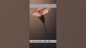 #تلاوة_خاشعةمن سورة البقرة لفضيلة الشيخ د.أحمد عبد الرحمن الخجا برواية قالون #اكسبلور #المصحف