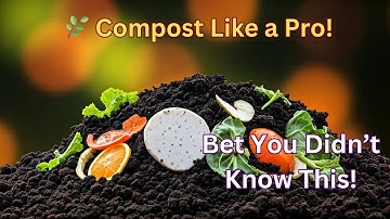 🌿 Master Composting Like a Pro! The Science Behind The Magic!