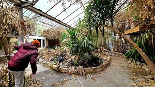 We Found The Abandoned Jungle Zoo Hidden In Lincolnshire - Abandoned Places | Abandoned Places UK