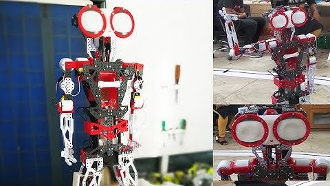 Humanoid Robot by Novatech Robo