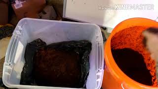 How to Spawn to bulk substrate
