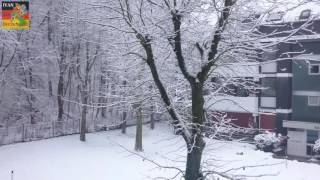 Первый снег в Германии. 02.01.2017