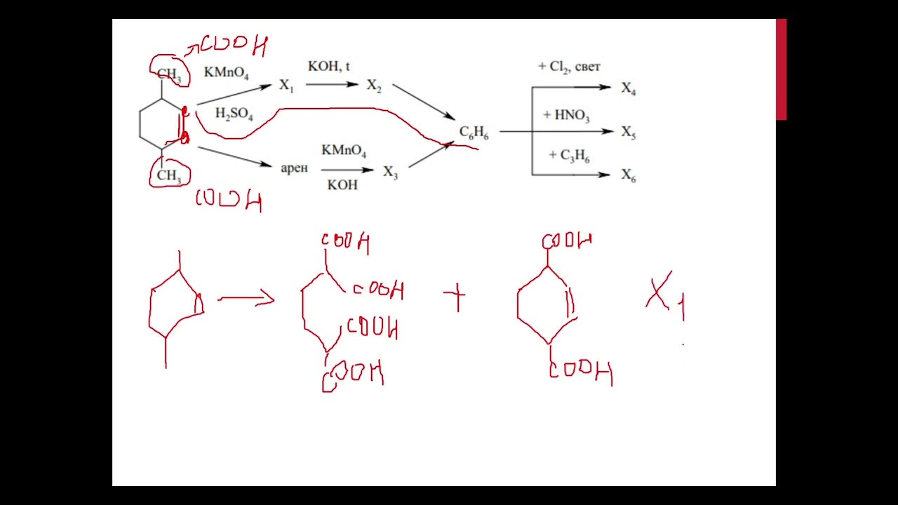Разбор Д/З "Арены" | Olchem-9 | Мадьярова М.