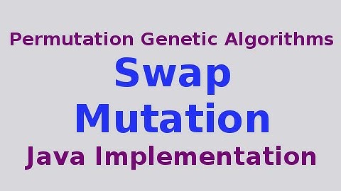 Genetic Algorithms 23/30: Swap Mutation with Java Implementation