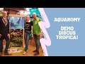 Aquaromy demo discus tropcia
