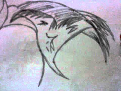 Aashu nai aashu ko.wmv