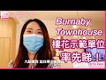 樓花率先睇👉新盤開售🔔 l Burnaby Townhouse KIN by Beedie項目