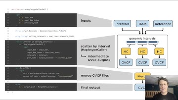 Deciphering a WDL: A systematic approach