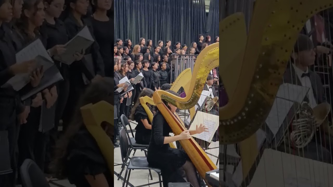 Dulianny Blanco 🇻🇪 Arpa Clásica participación especial en la Orquesta Juvenil del Estado Aragua 