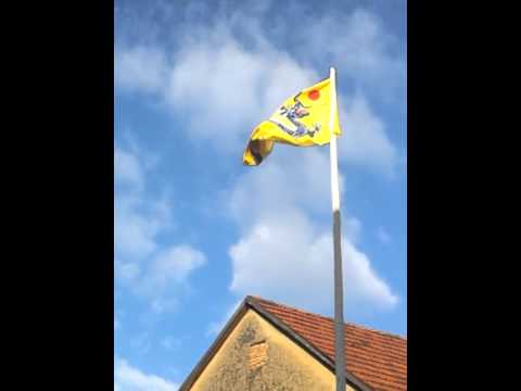 my flag pole with my new flag of the qing dynasty pre communist