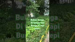 Download Lagu tiada tangis lagi #Tkwhongkong MP3