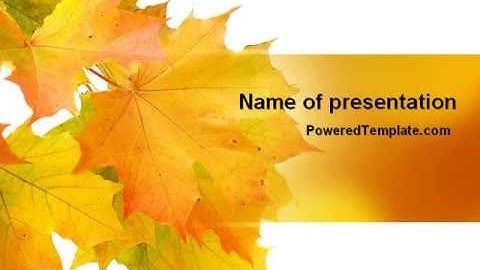 Yellow Leaves Of Maple PowerPoint Template by PoweredTemplate.com