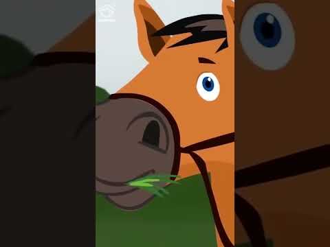 அழகியும் காட்டுமிராண்டியும் | Beauty And The Beast | தமிழ் சிறுகதைகள் | Tamil Fairy Tales | #shorts.
