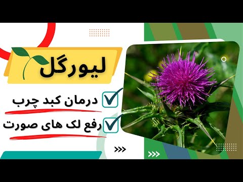 لیورگل  بهترین و موثرترین داروی گیاهی برای درمان کبد چرب