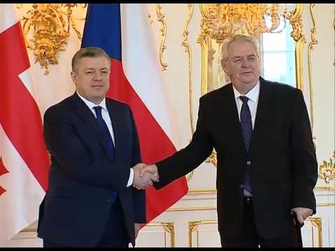 შეხვედრა ჩეხეთის პრეზიდენტთან
