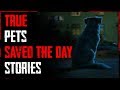 9 TRUE Creepy Pets Saved The Day Stories | #TrueCreepyStories