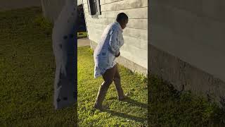 Foxy Saw A Squirrel Go In The Hole