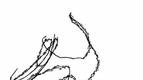 Procedural 3D Stochastic L-system in OpenFrameworks