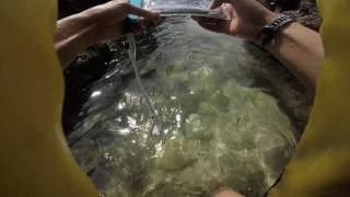 UPAIR ONE   V1 0 02  gopro 20161023 04
