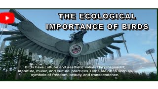 The Ecological Importance of Birds