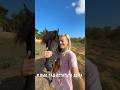 Опять эта конюшня… #shorts #конюшня #мойдень #лошади #юмор #жизньвиталии #ранчо #италия #конныйблог