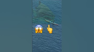 Megalodon Shark Attack #meg3 Simulation