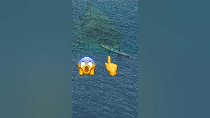 Megalodon Shark Attack #meg3 Simulation - DayDayNews