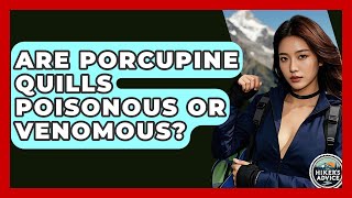 Are Porcupine Quills Poisonous Or Venomous? - The Hiker's Advice Does Porcupine Quills Have Poison