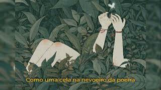 The Reeling - Passion pit [ TRADUÇÃO/ LEGENDADO]