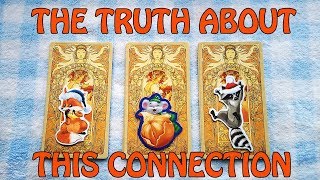 THE TRUTH ABOUT THIS CONNECTION.  PICK A CARD