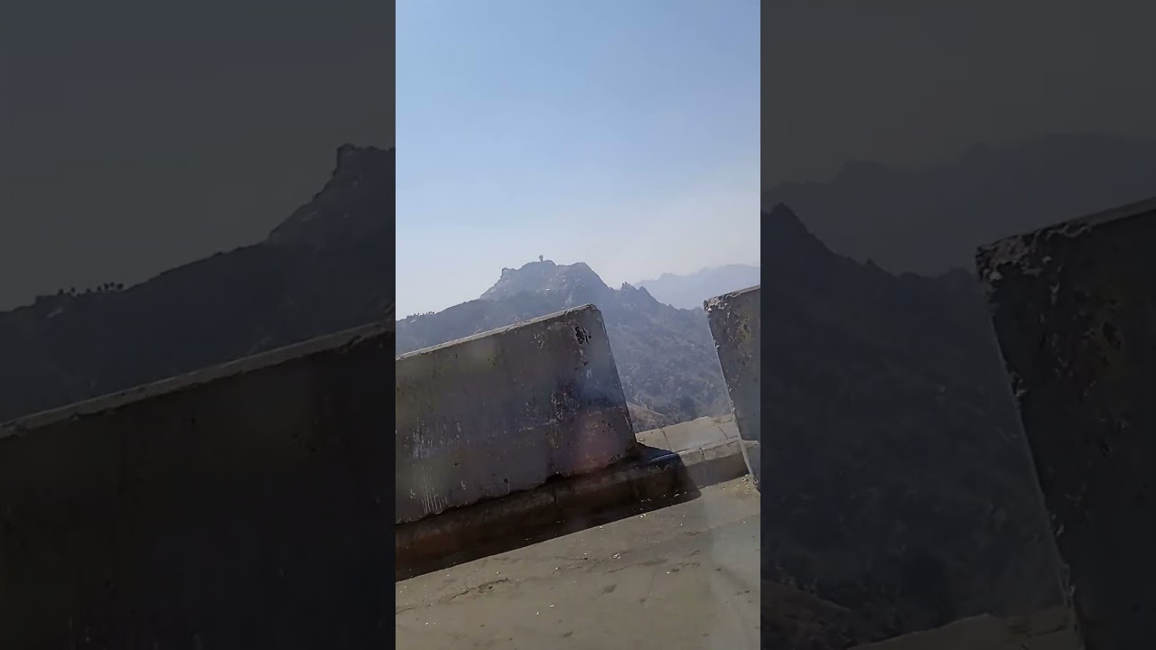 Monkey Parade on the Road | Monkeys on a Mission 🐒🚶‍♂️ | Monkey March Begins | NewMonkey Edition!"