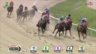 20160529 렛츠런파크 부산경남 2경주 1300m