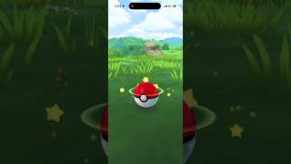 Catch a Sewaddle