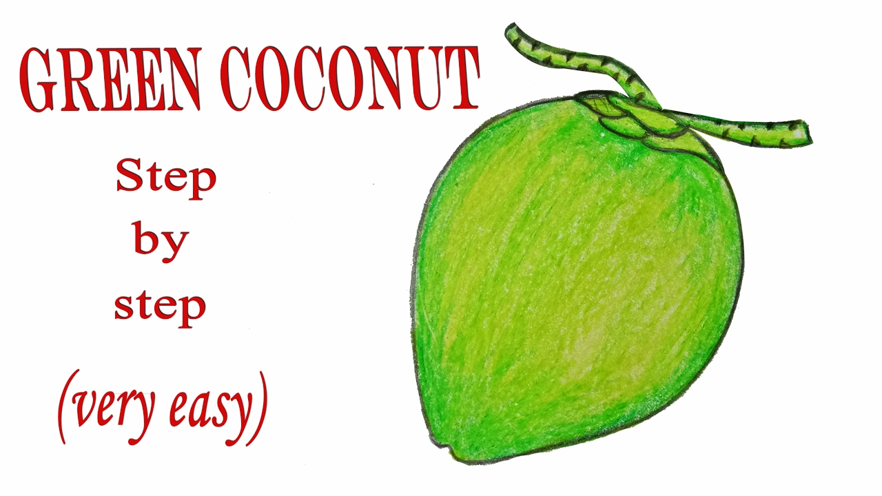 Coconut Drawing Tutorial - Easy Step-by-Step Guide for Kids/Beginners