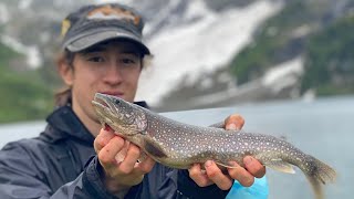 Angeln am Gelmer- und Engstlensee; Die Flut der Seesaiblinge