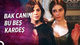 Sen Hiç Mahi Dayağı Yedin Mi Aybige?