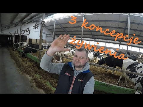 Wideo: 3 sposoby karmienia bydła