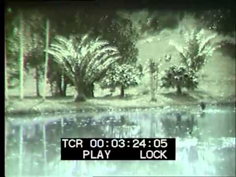 Kuala Lumpur, 1910's - Film 23740