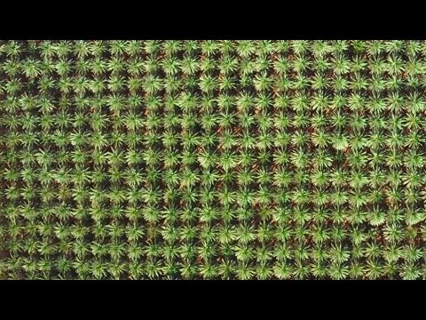 أول مشروع مشاركه لينا في الواحات البحرية يلا بينا