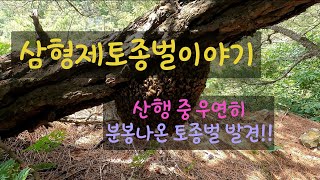 오늘은 산행중  황금 으로 보답할 녀석들을 만나다???